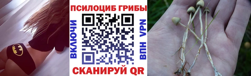 Галлюциногенные грибы мицелий  дарк нет формула  Ядрин  наркотики 